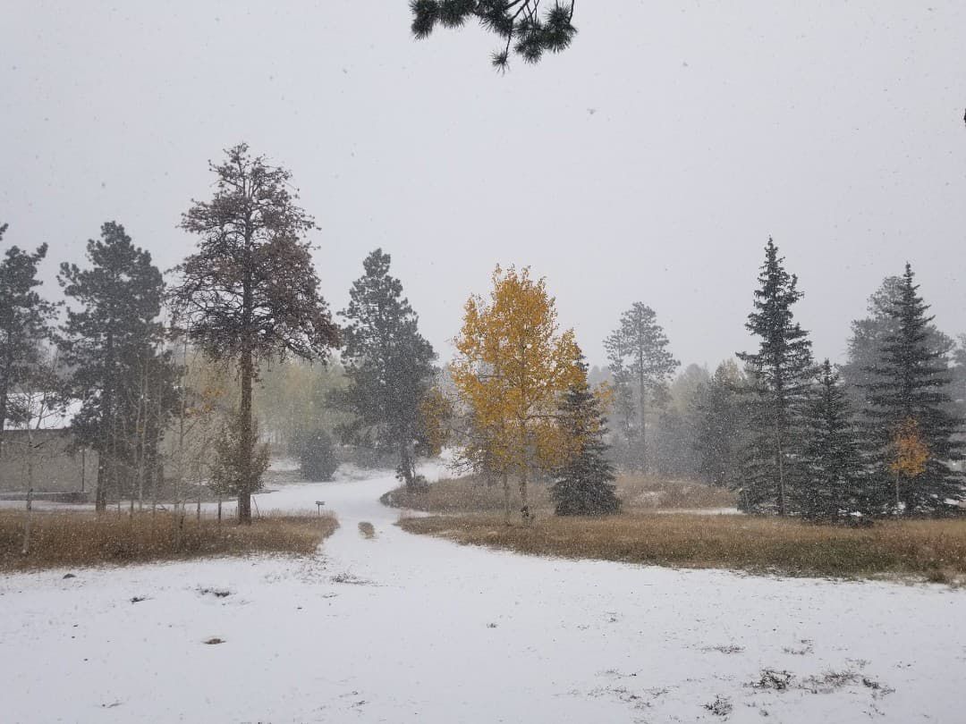 snow.jpg